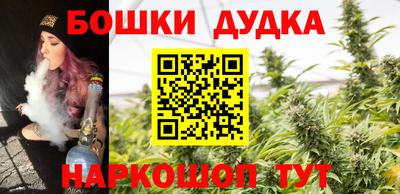 индика Нальчик