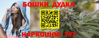 индика Нальчик