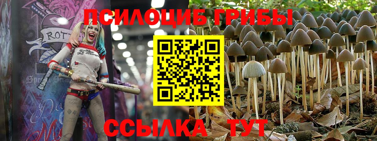 продажа наркотиков  Псилоцибиновые грибы ЛСД  Вход с VPN  Аша 