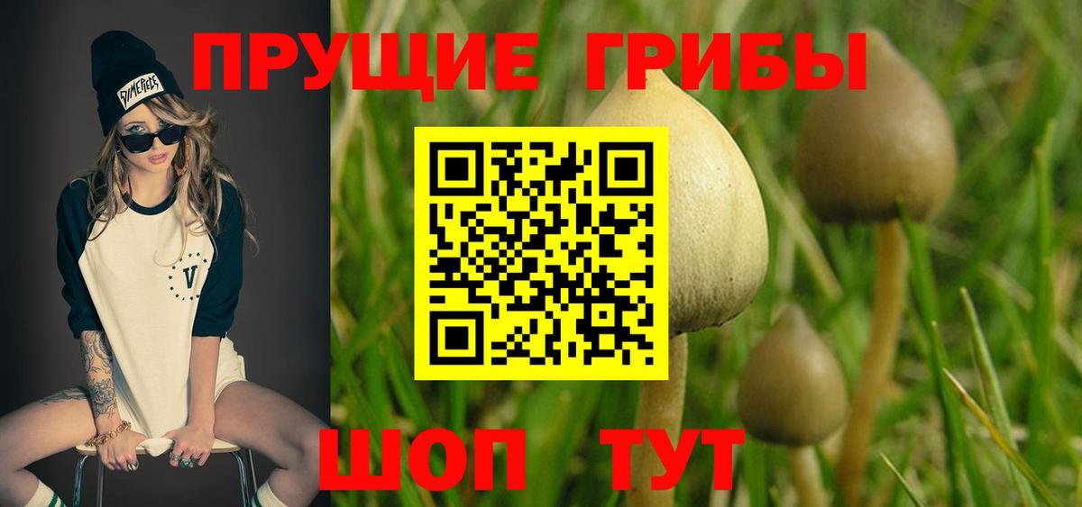 Псилоцибиновые грибы ЛСД Аша